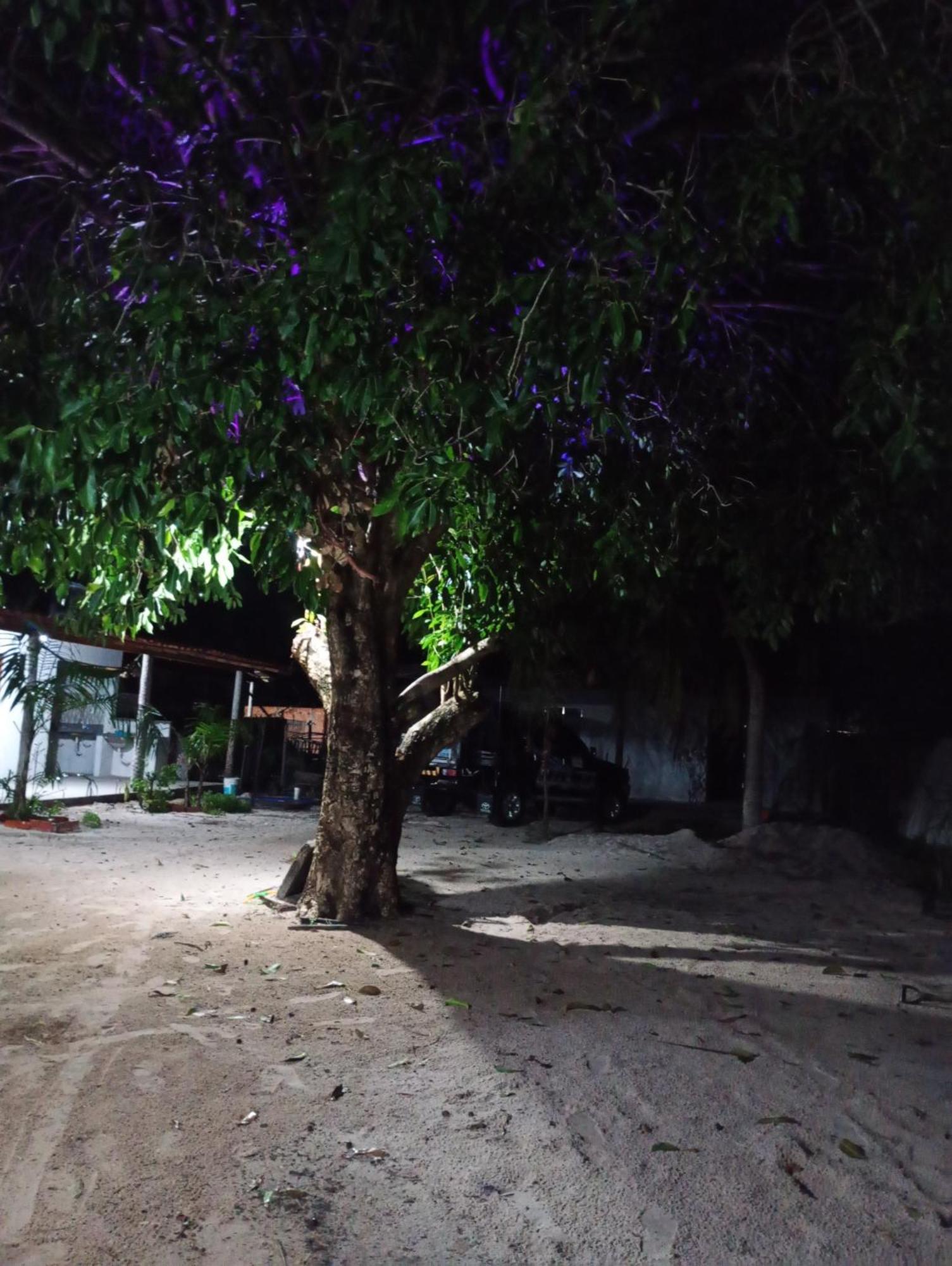 Hostel E Camping Na Rua Das Flores Santo Amaro do Maranhao Exterior photo